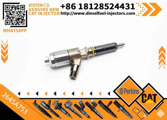 New Injector for CAT320D C6.6 Diesel 320-0690 2645A749 321-3600 320-0655 326-4756 320-0688 375-4106 320-0688 2645A751 2645A753
