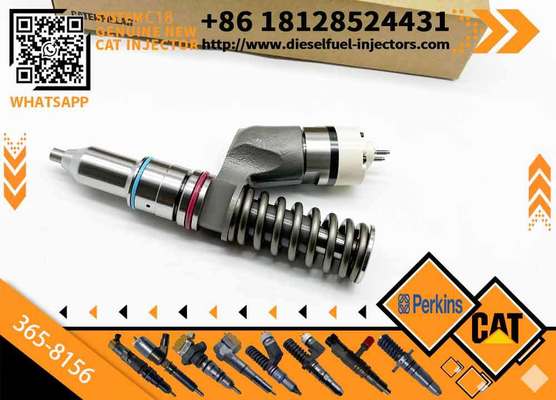 Factory Wholesale of High Quality Components in Stock Fuel Injector 30R-0004 365-8156 1677154 8113092 BEBE4B01003 for CAT Engine