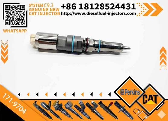 Fuel Injector 456-3544 20R-5079 4563544 363-0493 138-8756 155-1819 169-7408 171-9704 with Cateeerpillar C9.3 Excavator 336E 320D Machinery Engine Parts