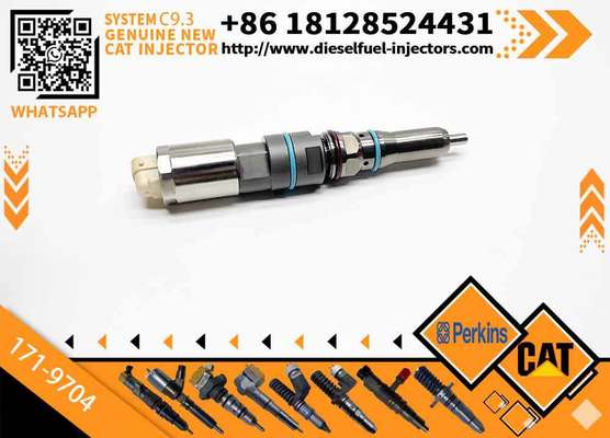 Fuel Injector 456-3544 20R-5079 4563544 363-0493 138-8756 155-1819 169-7408 171-9704 with Cateeerpillar C9.3 Excavator 336E 320D Machinery Engine Parts