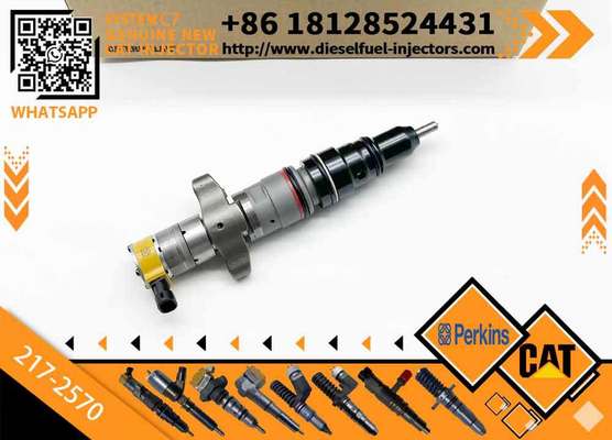 Fuel Injector 217-2570 235-2888 2352888 387-9433 3879433 293-4071 387-9427 3879427 263-8218 2638218