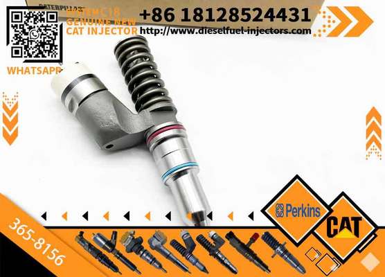Factory Wholesale of High Quality Components in Stock Fuel Injector 30R-0004 365-8156 1677154 8113092 BEBE4B01003 for CAT Engine