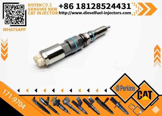 Fuel Injector 456-3544 20R-5079 4563544 363-0493 138-8756 155-1819 169-7408 171-9704 with Cateeerpillar C9.3 Excavator 336E 320D Machinery Engine Parts